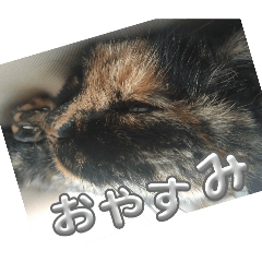 [LINEスタンプ] あいちゃんまりるべる