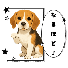 [LINEスタンプ] 『ビーグル』のスタンプ