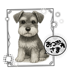 [LINEスタンプ] 『ミニチュア・シュナウザー』のスタンプ