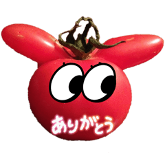 [LINEスタンプ] akagiLIFE