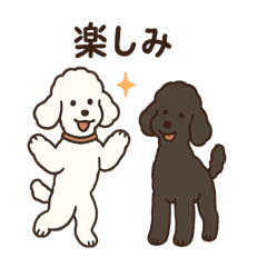 [LINEスタンプ] 白黒スタンダードプードルちゃん