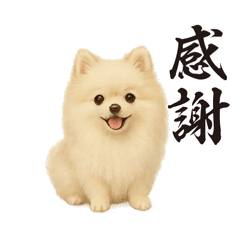 [LINEスタンプ] 『ポメラニアン』のスタンプ