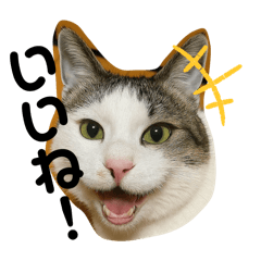 [LINEスタンプ] コテツとコジロー