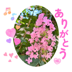 [LINEスタンプ] ありがとう・ありがとうございます