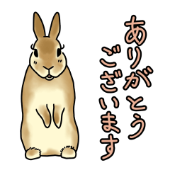 [LINEスタンプ] うさぎさんの「ありがとう」スタンプ