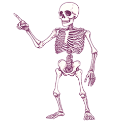 [LINEスタンプ] やさしいガイコツ2