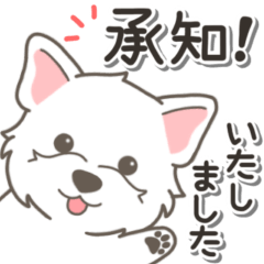 [LINEスタンプ] やさしいウエスティ【仕事＆連絡】