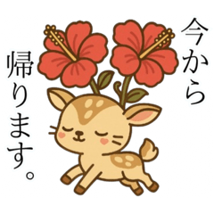 [LINEスタンプ] ねっ娘②【夏】……………………,………….