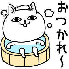 [LINEスタンプ] じろりねこ挨拶毎日送れる 