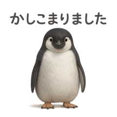 [LINEスタンプ] やさしい敬語の動物たち〜日常とビジネス〜