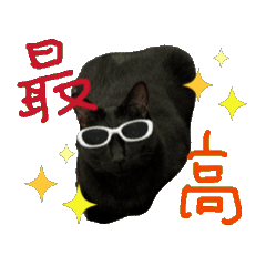 [LINEスタンプ] お酒とネコ好きな日常会話 50