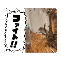 [LINEスタンプ] akagiヘラクレス 