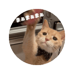 [LINEスタンプ] もふの言うとおり 