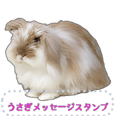 [LINEスタンプ] モップはうさぎ（メッセージvar） fetchpriority=high