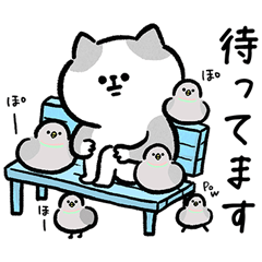 [LINEスタンプ] 家族連絡‗毎日送りやすい脱力猫さんの日常 