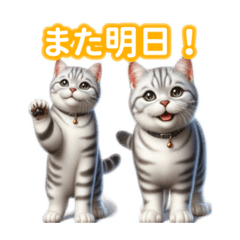 [LINEスタンプ] とにかくかわいいアメリカンワイヤーヘアー