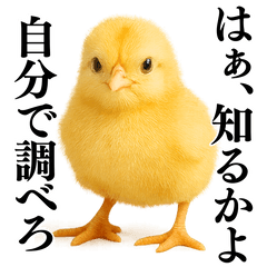 [LINEスタンプ] 【煽る・罵倒】可愛いヒヨコと鶏＠日常会話