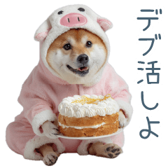 [LINEスタンプ] 実写デブ柴犬【面白い・ダイエット】