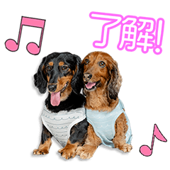 [LINEスタンプ] 徳永家のレン＆ラウールちゃん7
