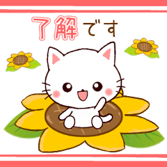 [LINEスタンプ] ❤気遣いにゃんこの暑い夏❤