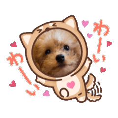 [LINEスタンプ] みるちゃんのスタンプ1つ目 