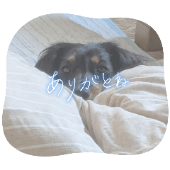 [LINEスタンプ] R.O.Nの日常