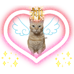 [LINEスタンプ] Ko-tzy Vol.4