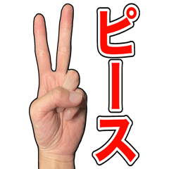 [LINEスタンプ] 手は口ほどにものを言う！超ハンドサイン