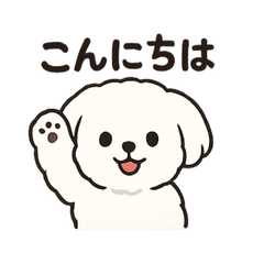 [LINEスタンプ] ゆるふわマルチーズのスタンプ