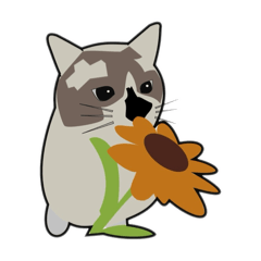 [LINEスタンプ] 我が家の愛猫ちゃん可愛いスタンプ