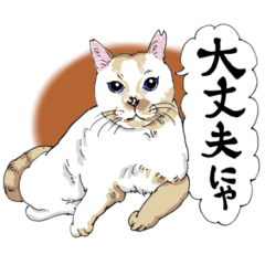 [LINEスタンプ] にゃんズからの優しい言葉