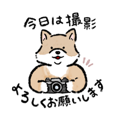 [LINEスタンプ] カメラマンのためのスタンプ第一弾