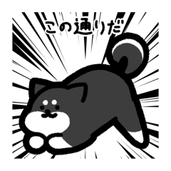 [LINEスタンプ] いつでも使える柴犬（黒柴）