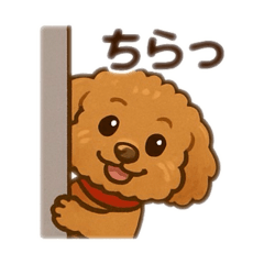 [LINEスタンプ] 一日中使えるトイプードル基本の会話集