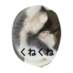 [LINEスタンプ] 皆のアオくん4