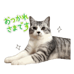 [LINEスタンプ] 動く八朔さんvol.1 