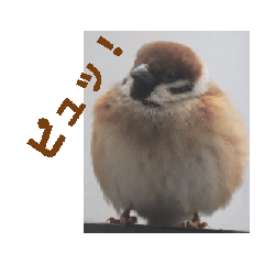 [LINEスタンプ] すずめ.お客さん 