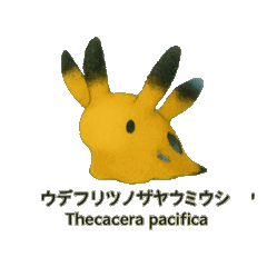 [LINEスタンプ] 動く無言ウミウシ
