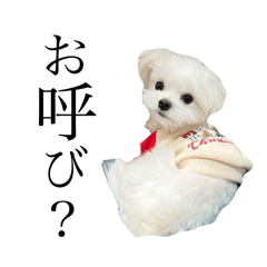 [LINEスタンプ] ダッシュとニック^_^