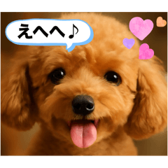 [LINEスタンプ] もふもふトイプの毎日