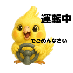 [LINEスタンプ] 陽気なオカメインコ日常