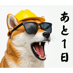 [LINEスタンプ] 柴犬の現場仕事⭐カウントダウン(再販)