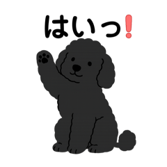 [LINEスタンプ] ブラックプードルちゃん日常会話
