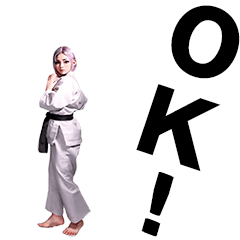 [LINEスタンプ] アニメ風のリアルに動く空手女子スタンプ fetchpriority=high