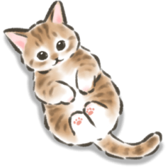 [LINEスタンプ] 毎日ごろごろ☆猫たちのスタンプ
