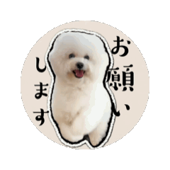 [LINEスタンプ] エマハルだぞー 