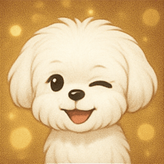 [LINEスタンプ] キラキラおっとりマルチーズ@SFW