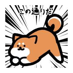 [LINEスタンプ] いつでも使える柴犬（赤柴）