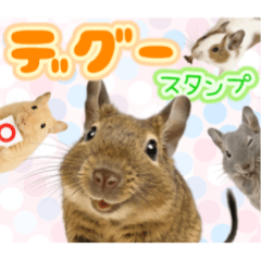 [LINEスタンプ] デグーのほっこり日和