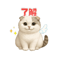 [LINEスタンプ] スコティッシュりん 
